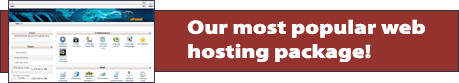 Web Hosting